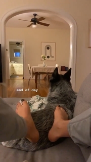 Adriene Mishler feet photo thumbnail