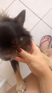 Alaine Crissiê feet photo thumbnail
