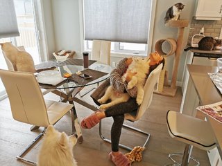 Natalia Mogollon feet photo thumbnail
