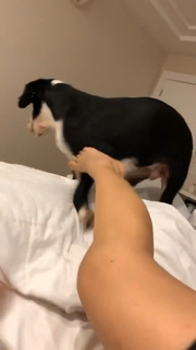 Anitta feet photo thumbnail
