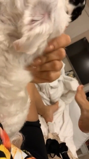 Anitta feet photo thumbnail