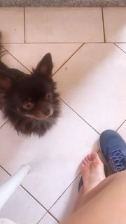 Alaine Crissiê feet photo thumbnail