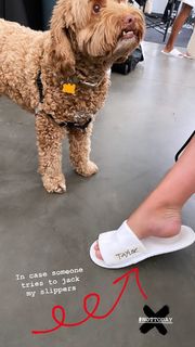 Taylor Hill feet photo thumbnail