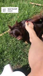 Alaine Crissiê feet photo thumbnail