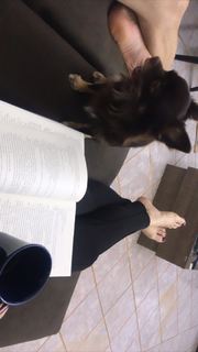Alaine Crissiê feet photo thumbnail