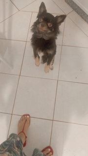 Alaine Crissiê feet photo thumbnail