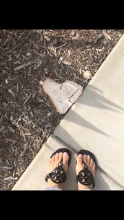 Vida Guerra feet photo thumbnail