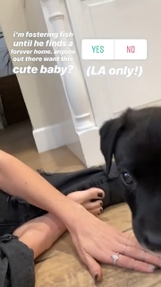 Gabbie Hanna feet photo thumbnail