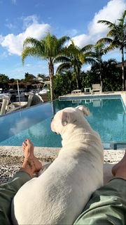 Daisy Fuentes feet photo thumbnail