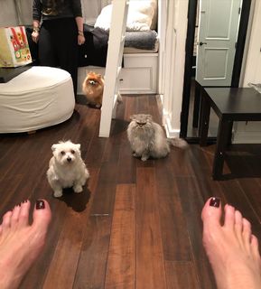 Kate Beckinsale feet photo thumbnail