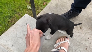 Gabbie Hanna feet photo thumbnail