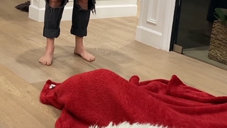 Gabbie Hanna feet photo thumbnail