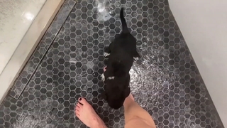 Gabbie Hanna feet photo thumbnail