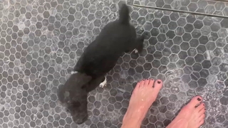 Gabbie Hanna feet photo thumbnail