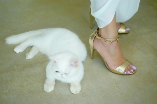Cláudia Citroni feet photo thumbnail