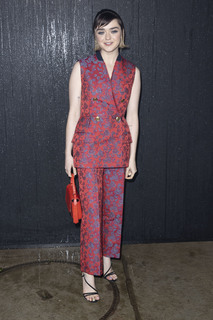 Maisie Williams feet photo thumbnail