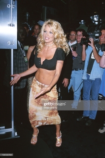 Pamela Anderson feet photo thumbnail