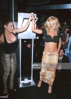Pamela Anderson feet photo thumbnail