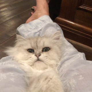 Kate Beckinsale feet photo thumbnail