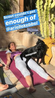 Arielle Kebbel feet photo thumbnail
