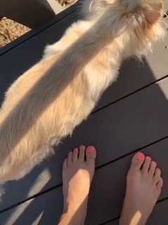 Paige VanZant feet photo thumbnail
