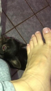 Alaine Crissiê feet photo thumbnail