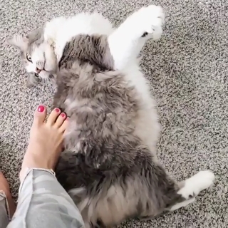 Natalia Mogollon feet photo thumbnail