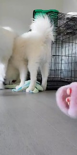 Natalia Mogollon feet photo thumbnail