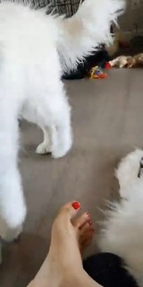 Natalia Mogollon feet photo thumbnail