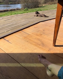 Gillian Anderson feet photo thumbnail