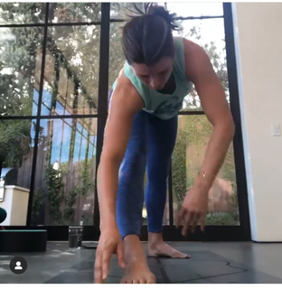Danica Patrick feet photo thumbnail