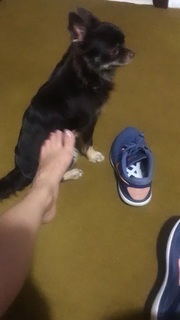 Alaine Crissiê feet photo thumbnail