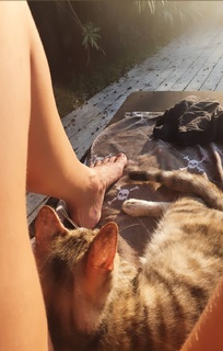 Nicole Neumann feet photo thumbnail