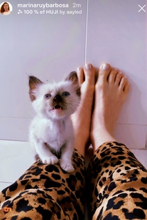 Marina Ruy Barbosa feet photo thumbnail