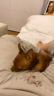 Cleo feet photo thumbnail