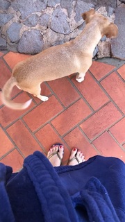 Alaine Crissiê feet photo thumbnail