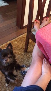 Alaine Crissiê feet photo thumbnail