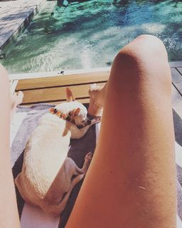 Nicole Neumann feet photo thumbnail