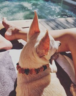 Nicole Neumann feet photo thumbnail