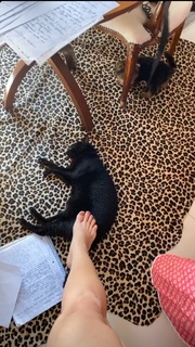 Franciely Freduzeski feet photo thumbnail