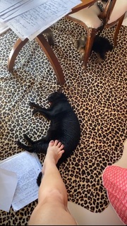 Franciely Freduzeski feet photo thumbnail