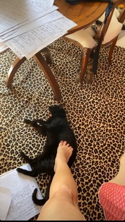 Franciely Freduzeski feet photo thumbnail