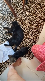 Franciely Freduzeski feet photo thumbnail