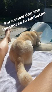 Sara Sampaio feet photo thumbnail