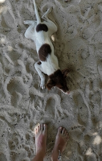 Marta Wierzbicka feet photo thumbnail