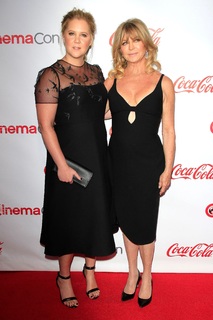 Amy Schumer feet photo thumbnail