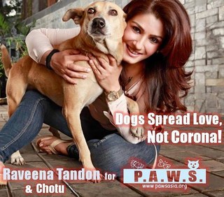 Raveena Tandon feet photo thumbnail