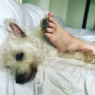 Virginia Madsen feet photo thumbnail