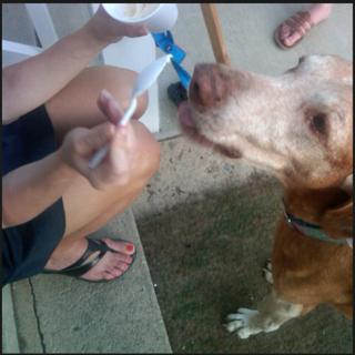 Dana Perino feet photo 3