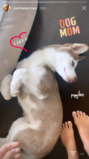 Camila Morrone feet photo thumbnail